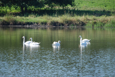 Similar image 22477883