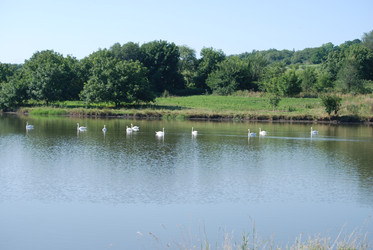 Similar image 22477885