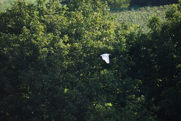 Similar image 22477886