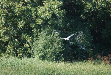 Similar image 22477888