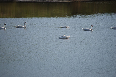 Similar image 22477889