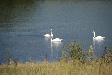 Similar image 22477890