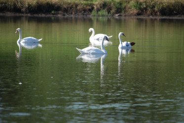 Similar image 22477898