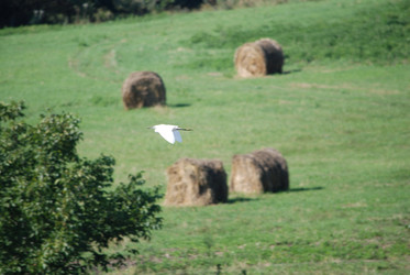 Similar image 22477899