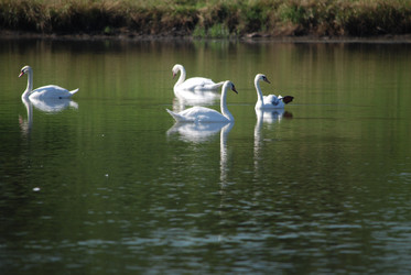 Similar image 22477901