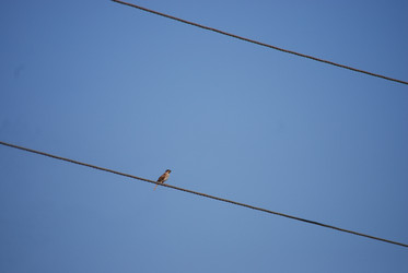 Similar image 22477902