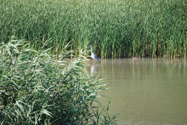 Similar image 22477903