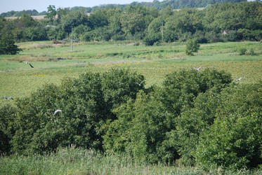 Similar image 22477904