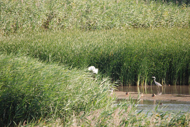 Similar image 22477913