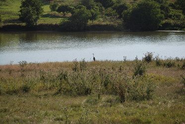 Similar image 22477914