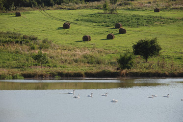 Similar image 22477915