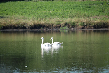 Similar image 22477916