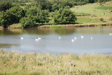 Similar image 22477917