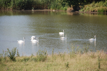 Similar image 22477918