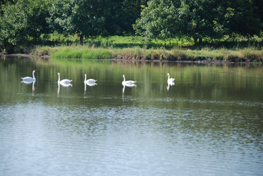 Similar image 22477919