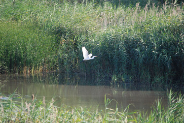 Similar image 22477920