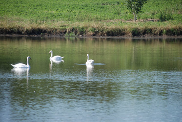 Similar image 22477929