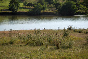 Similar image 22477930