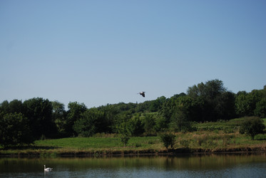 Similar image 22477931