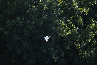 Similar image 22477718