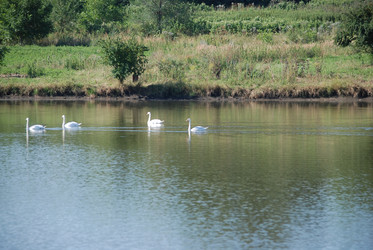 Similar image 22477719