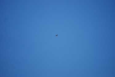 Similar image 22477720