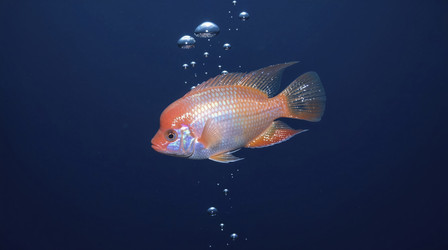 Similar image 22497905