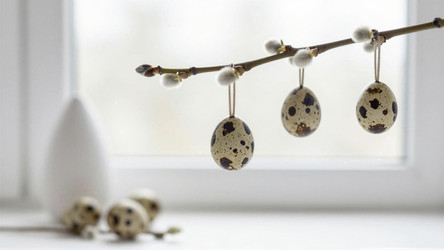 Similar image 22497934