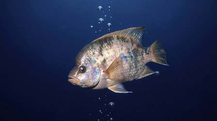 Similar image 22518990