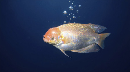 Similar image 22498036