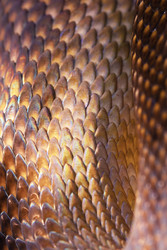 Similar image 22501972