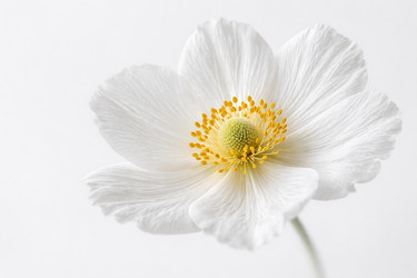 Similar image 22479987