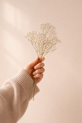 Similar image 22480058