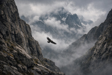 Similar image 22480062