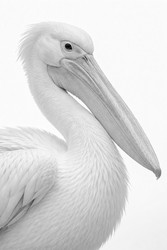 Similar image 22480122