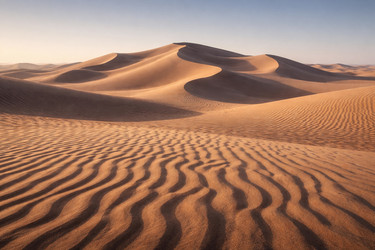 Similar image 22480123