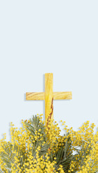 Similar image 22497862