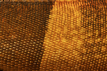 Similar image 22501840