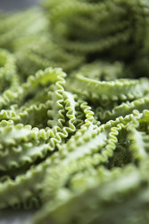 Similar image 22501855