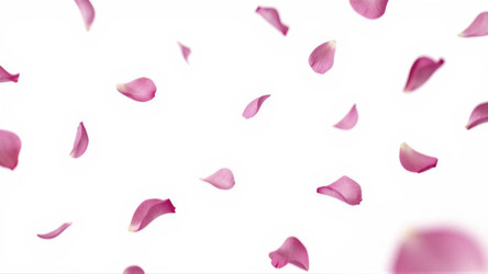 Similar image 22498029