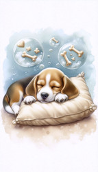 Similar image 22516217