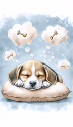 Similar image 22516960