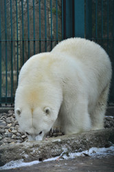 Similar image 22500902