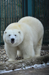 Similar image 22500903