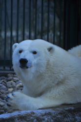 Similar image 22500905