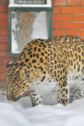 Similar image 22500907