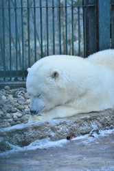 Similar image 22500908