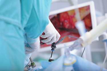 Similar image 22501810