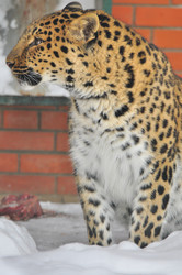 Similar image 22500910