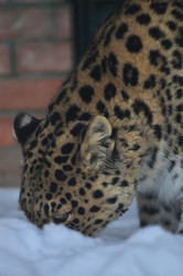 Similar image 22581581